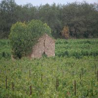 Photo de france - La randonnée des balcons d'Alignan-du-Vent